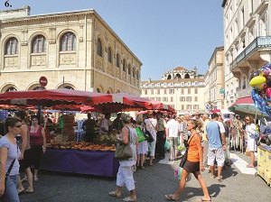 Oenotourisme dans la Vallée du Rhône 